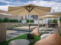 Terrace garden maintenance services