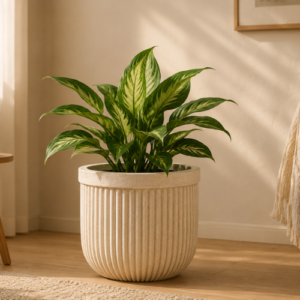 Urban Rib Pot