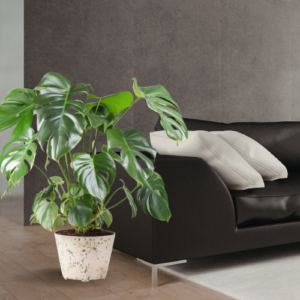 EcoSquare Pot