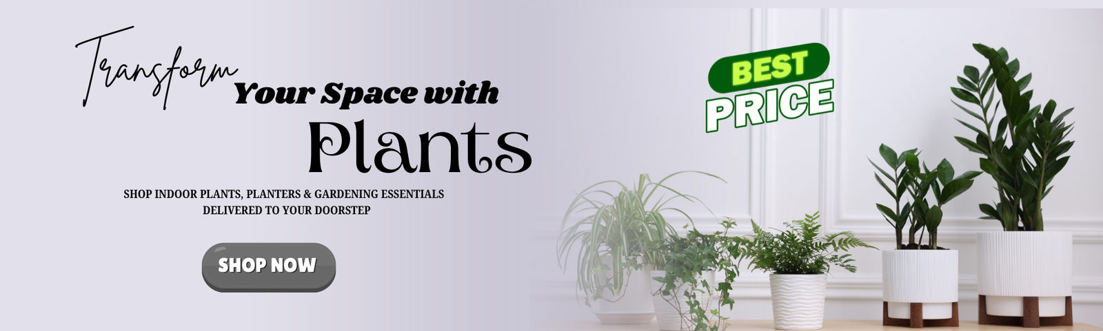Plant Happiness at Home