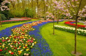 gardening ideas