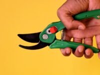 pruner