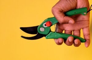 pruner