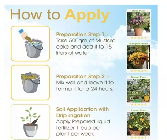 Mustard Cake Khali 400GM (सरसों की खली) - Organic Fertilizer for Plants | Natural Soil Enhancer | Rich in Nutrients for Healthy Growth - Image 5